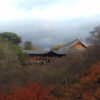 【京都を半日で巡る旅】あの日の中学生は東福寺を忘れない
