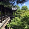 【京都を半日で巡る旅②】東福寺は必見です！